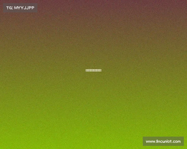 网易赛事统筹网易球赛