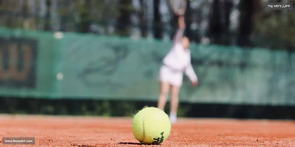 js3333线路检测中心——飞盘传情，快乐传递🥏